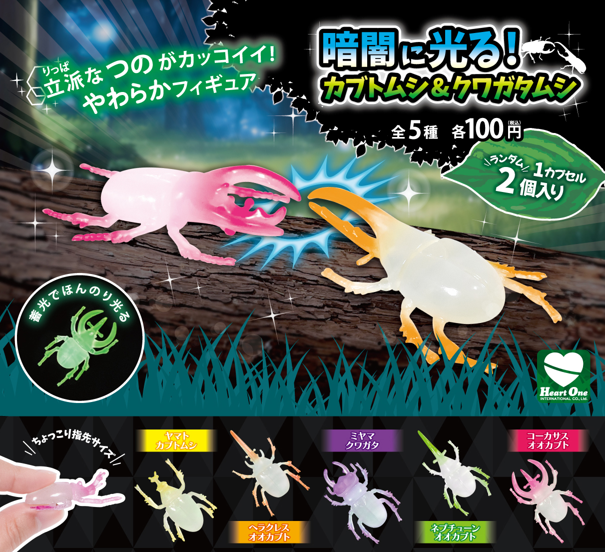 暗闇に光る！ カブトムシ & クワガタムシ