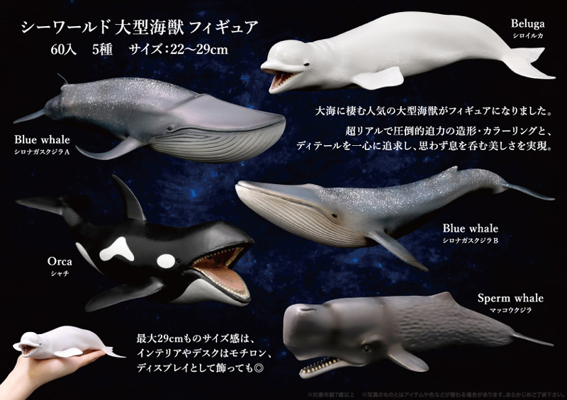 シーワールド大型海獣フィギュア